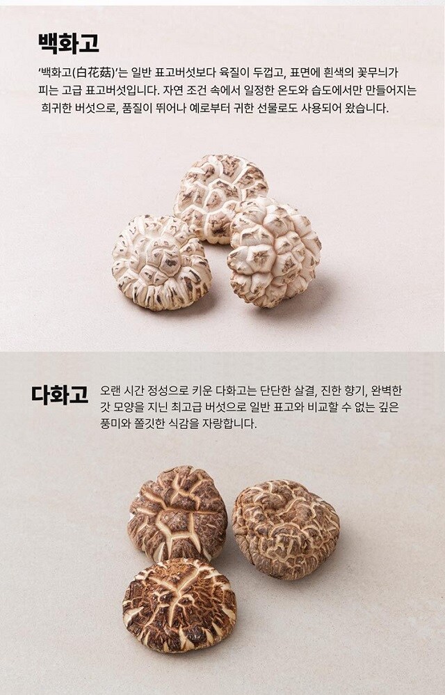 출하량의 70% 를 최고급으로 채우던 버섯농장의 비밀_2.jpg