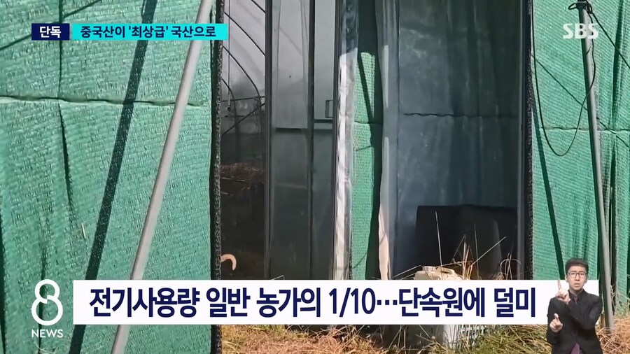 출하량의 70% 를 최고급으로 채우던 버섯농장의 비밀_4.jpg