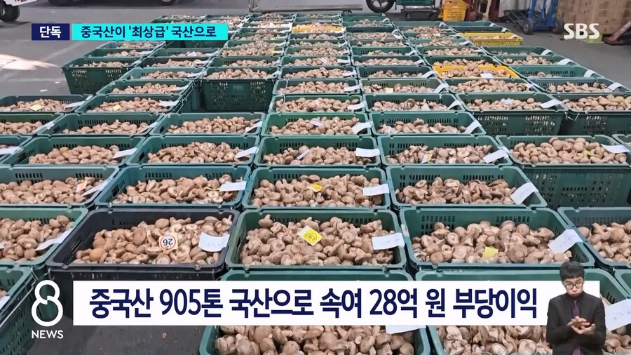 출하량의 70% 를 최고급으로 채우던 버섯농장의 비밀_7.jpg