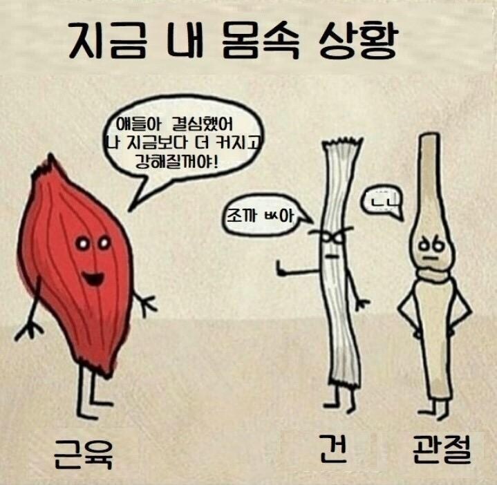 30대 넘긴 헬창들 근육상황_1.jpg