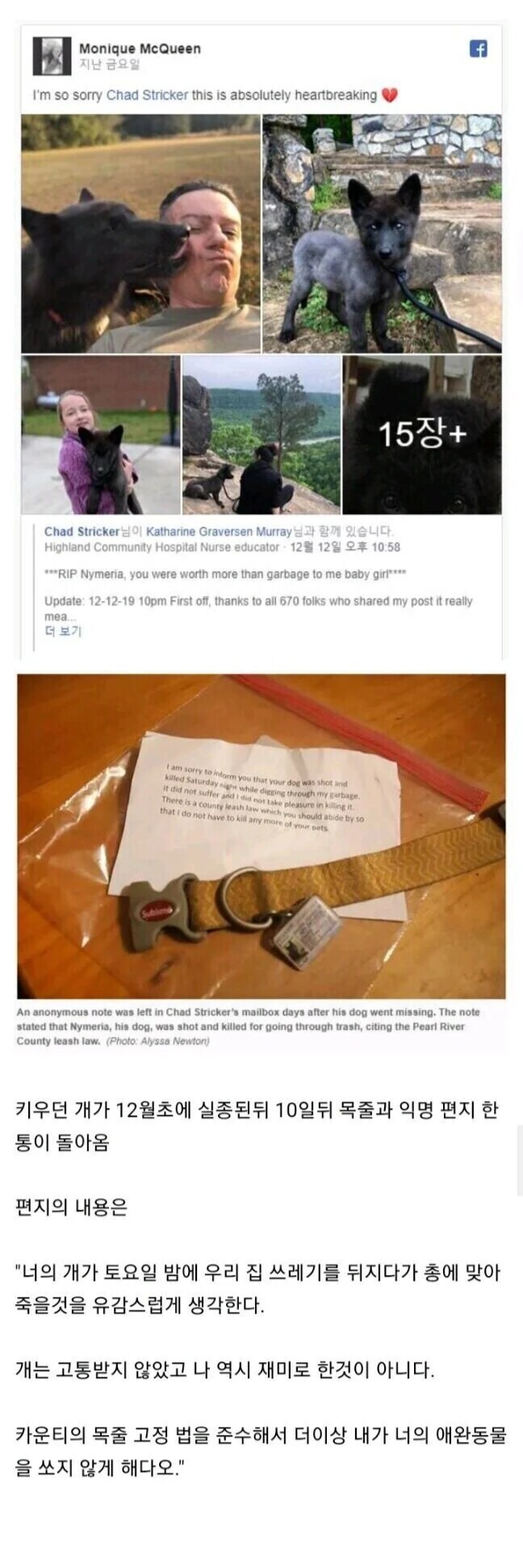 남의집 개를 총으로 쏴 죽인 이유_1.jpg