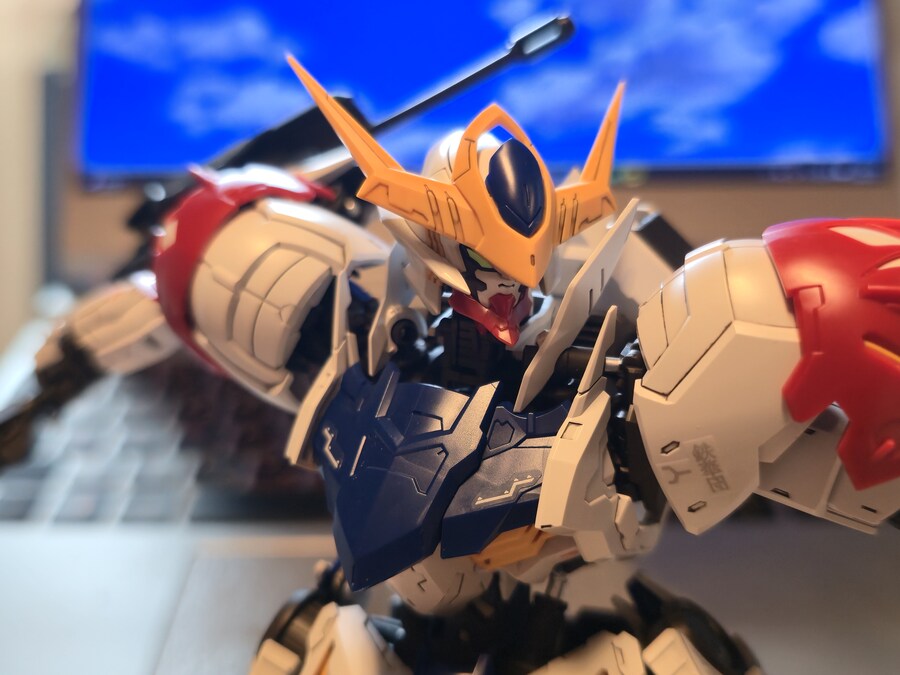 뒤늦게 올려보는 MG 발바토스 루프스_1.jpg