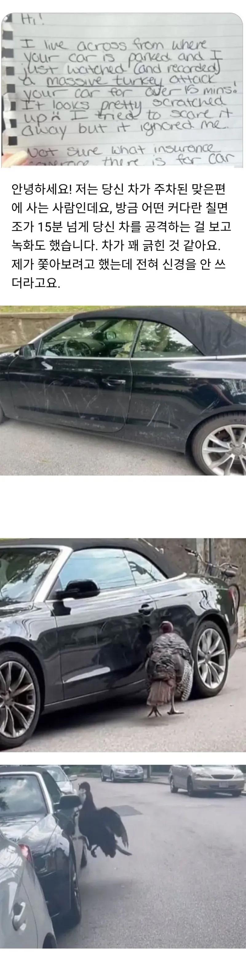 주차된 차가 긁혔는데 남겨진 쪽지.jpg_1.webp