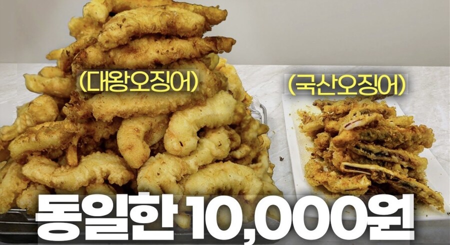 대왕오징어 국산 오징어 양 차이_1.jpg