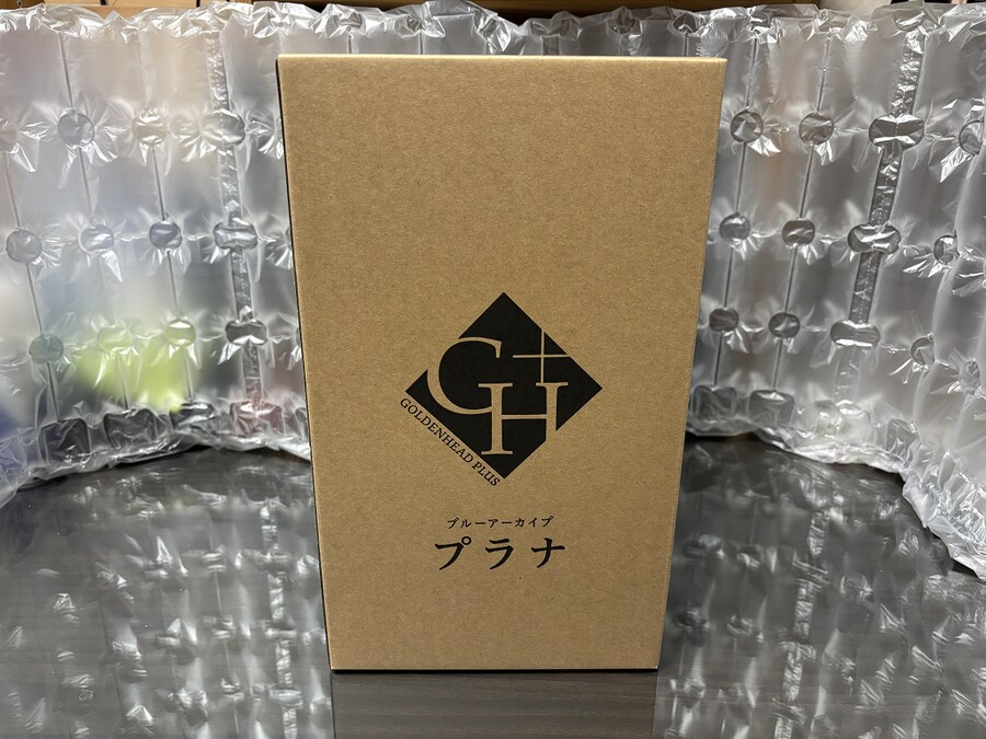 블루아카] 프라나 피규어 왔다!_3.png