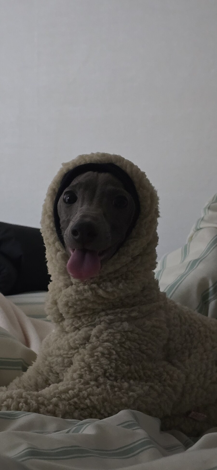 우리 가나디 귀여운거 같음_1.jpg