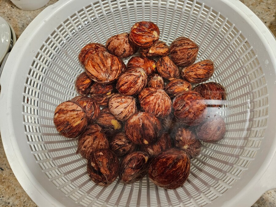 난 밤조림을 왜 만들려고 했을까_1.jpg