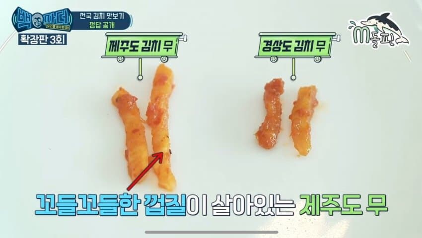 백종원) 김치 식감과 크기, 맛으로 지역 구분하는 백종원 ㄷㄷ_4.jpg