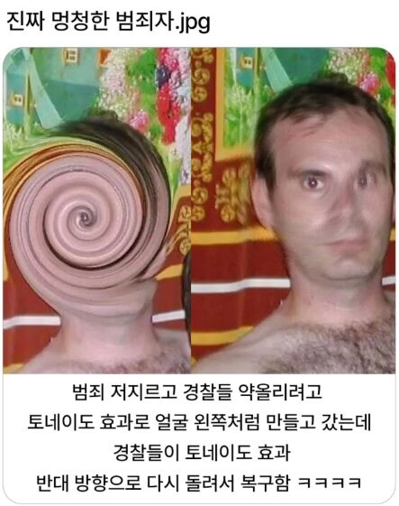 진짜 멍청한 범죄자_1.jpg