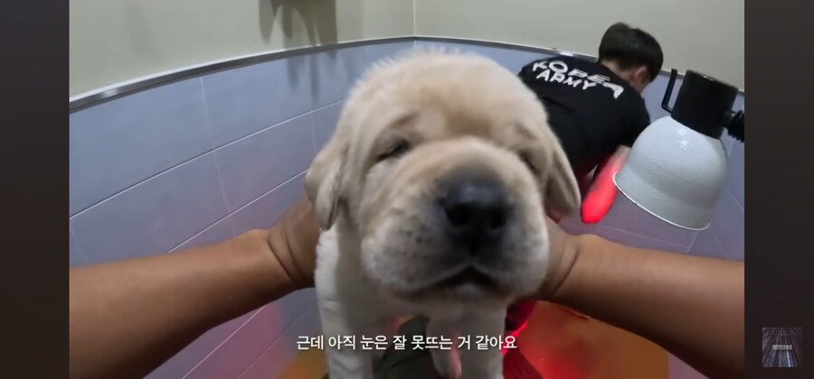 공군이 소중한 세금으로 국가전략자산을 키운다._5.jpg