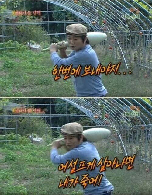 강호동 학과 교수 이수근.jpgif_2.jpg