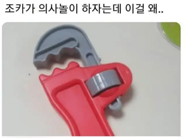 조카가 의사놀이 하자고 장난감을 가져왔다.jpg_1.webp