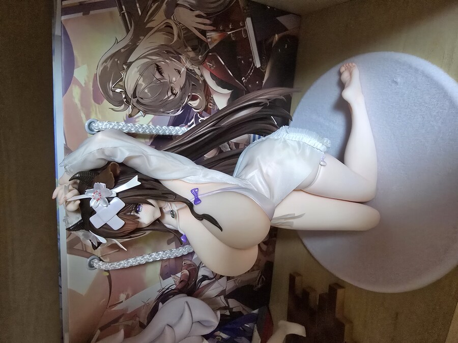 리뷰 벽람항로 카시노 피규어 2개 오늘 도착했어요_12.jpg