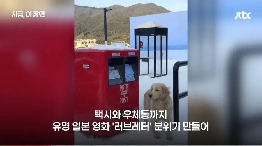 중국 한일령 근황.jpg_4.webp