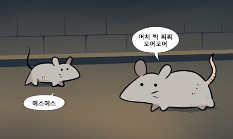 단순 설문조사 결과를 믿을 수 없는 이유_9.jpg