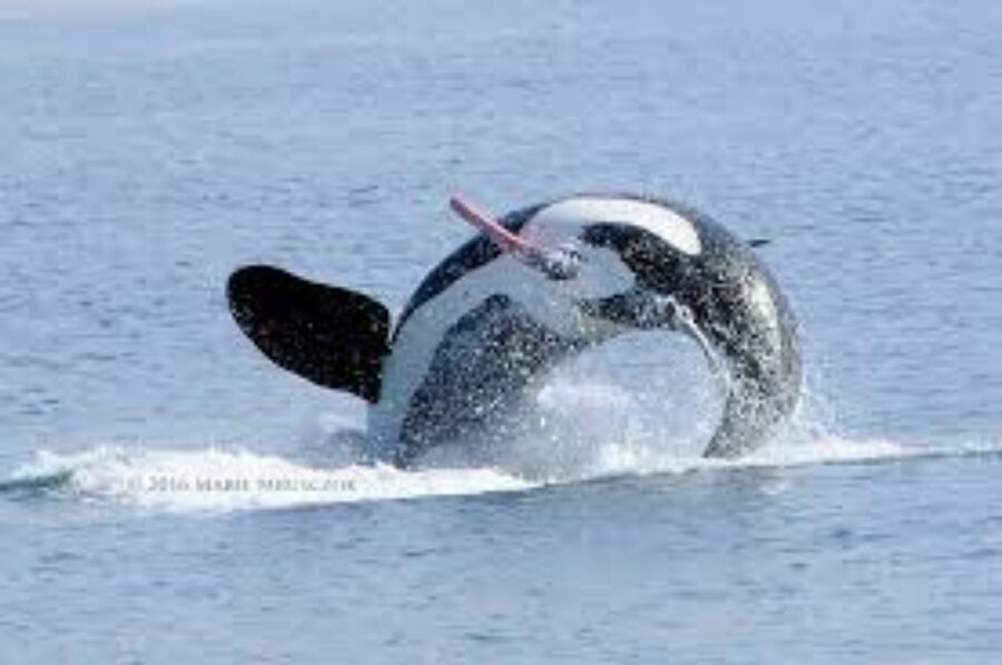 안녕하십니까. 루리웹 가족 여러분._3.jpg