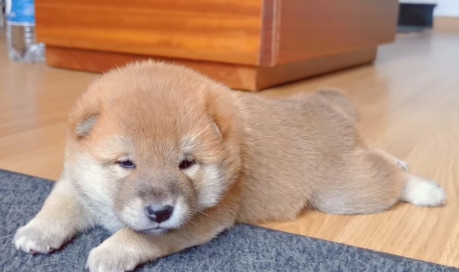 너희들은 지금 불판 때문에 시간을 낭비하고 있는거다_1.jpg