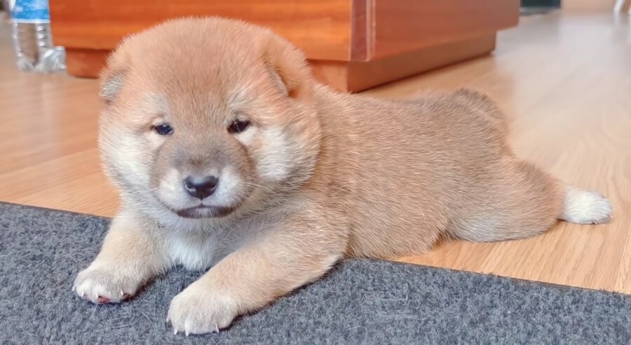 너희들은 지금 불판 때문에 시간을 낭비하고 있는거다_2.jpg