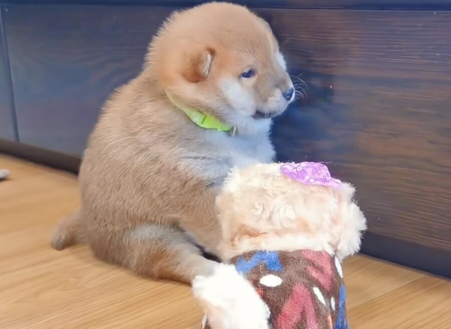 너희들은 지금 불판 때문에 시간을 낭비하고 있는거다_3.jpg