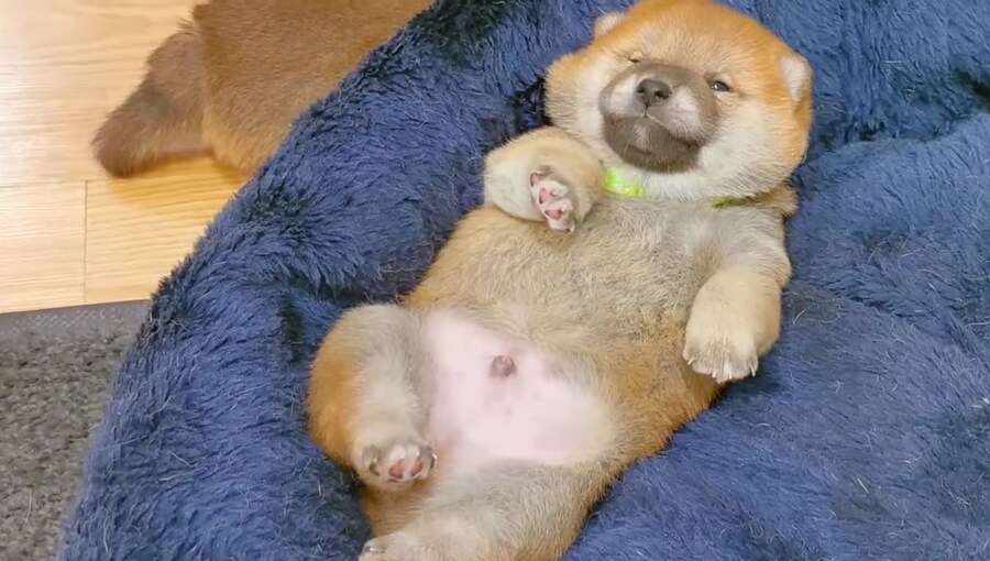 너희들은 지금 불판 때문에 시간을 낭비하고 있는거다_10.jpg