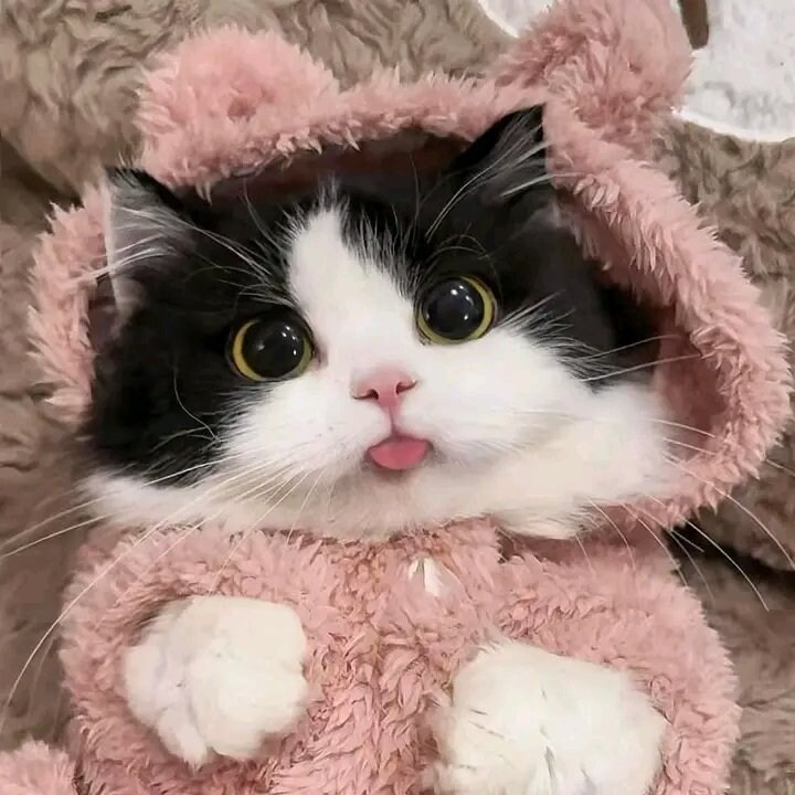 진짜 유게 픽_8.jpg