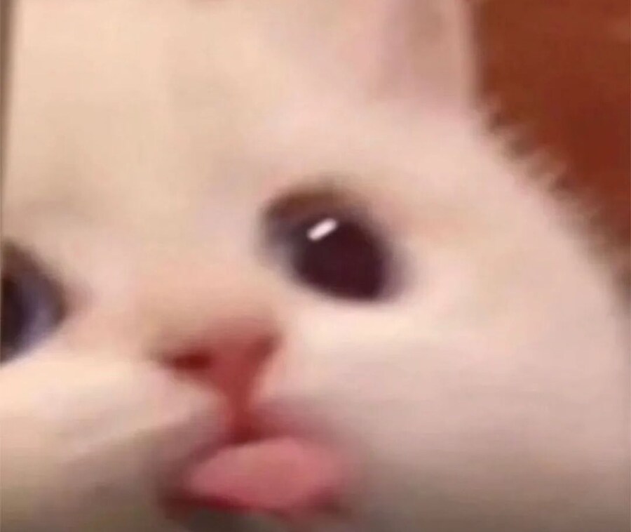 진짜 유게 픽_10.jpg