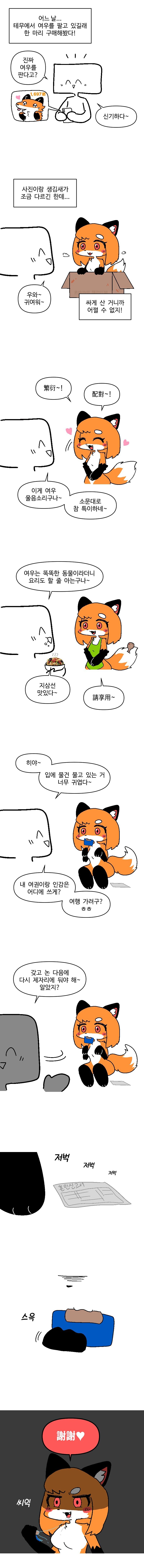 테무산 여우_1.jpg