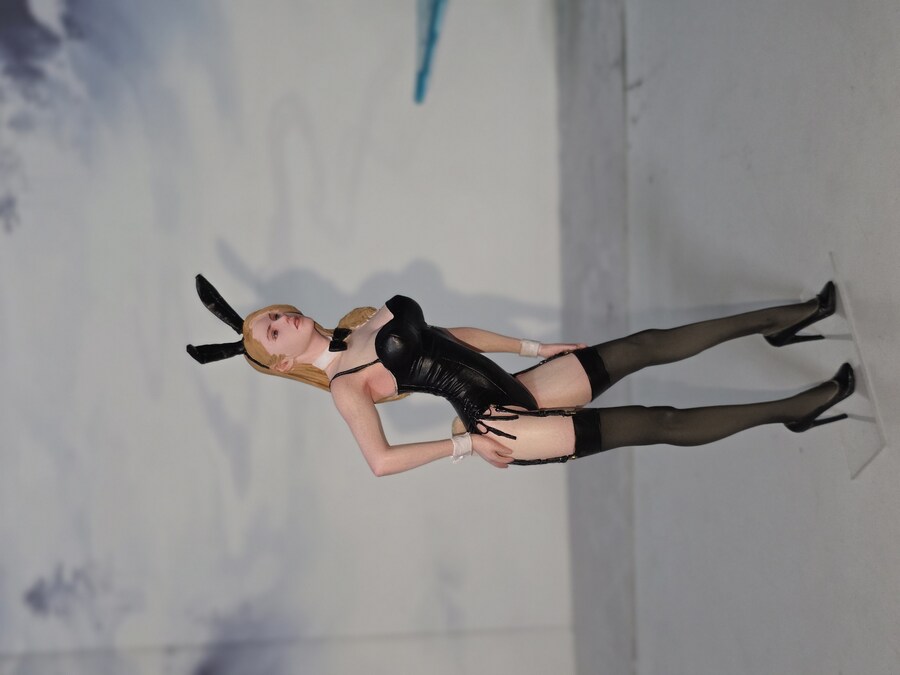 1/12 하세가와 바니걸 레진 완성_3.jpg