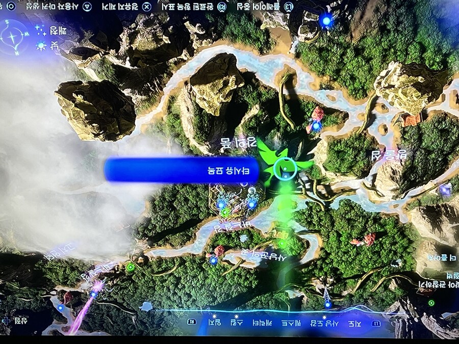 타시유묘목 ㅅㅂ.._1.jpg