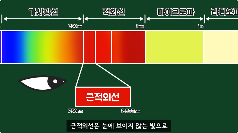 과일을 먹지 않고 당도를 측정하는 방법.jpg_13.jpg