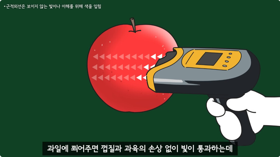 과일을 먹지 않고 당도를 측정하는 방법.jpg_14.jpg