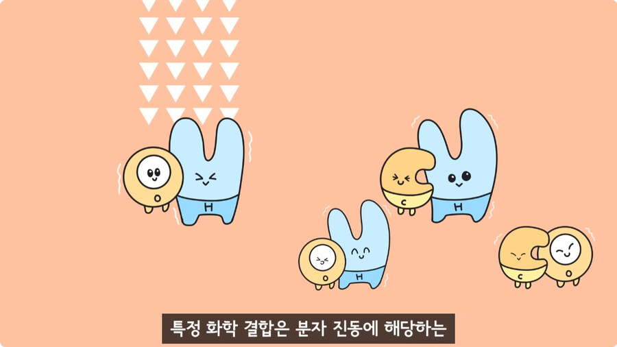 과일을 먹지 않고 당도를 측정하는 방법.jpg_18.jpg