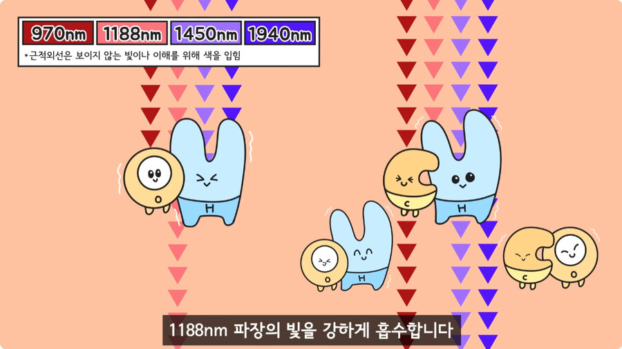 과일을 먹지 않고 당도를 측정하는 방법.jpg_23.jpg