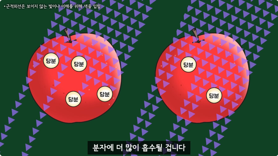 과일을 먹지 않고 당도를 측정하는 방법.jpg_26.jpg