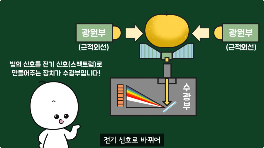 과일을 먹지 않고 당도를 측정하는 방법.jpg_37.jpg