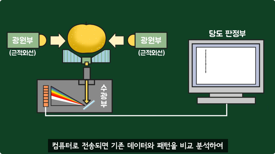 과일을 먹지 않고 당도를 측정하는 방법.jpg_38.jpg