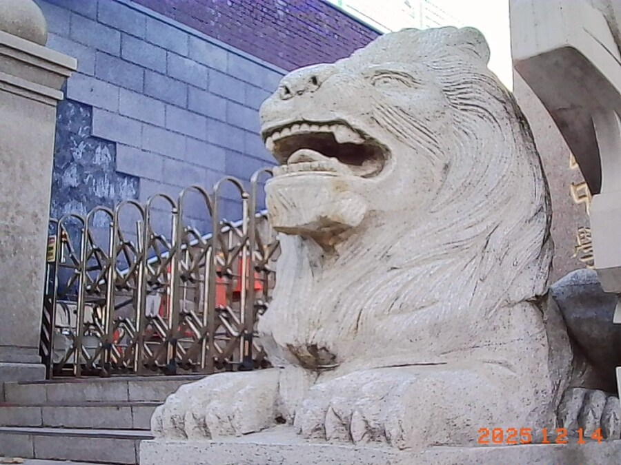 요즘 장난감 카메라 근황_2.jpg