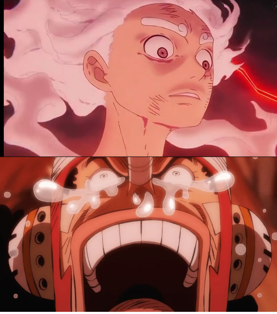 원피스 실시간으로 업데이트된 유게산 음해_1.jpg