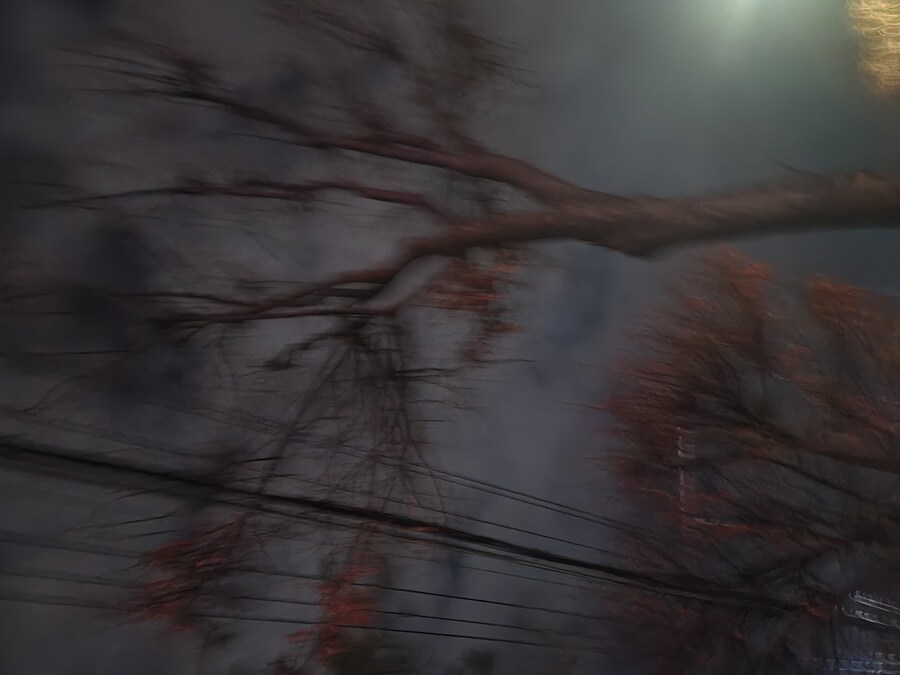 물류센터 끝내고 집으로 가는길...(애옹아 나왔다_2.jpg