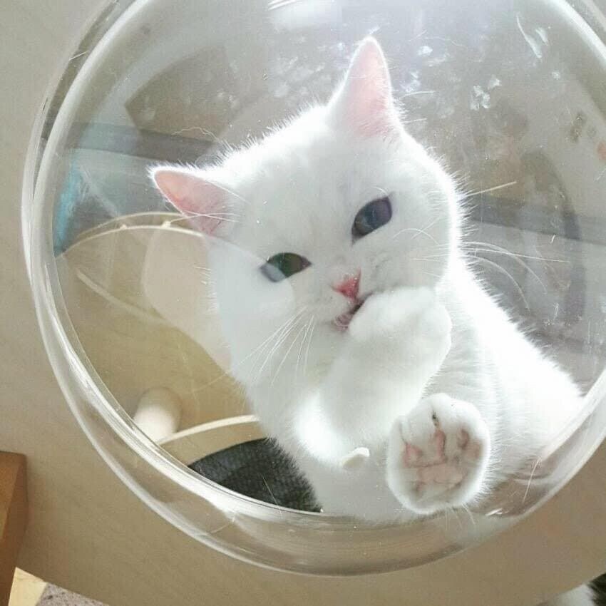 ??? : ㅋㅋㅋㅋㅋ 허접이네~~_1.jpg