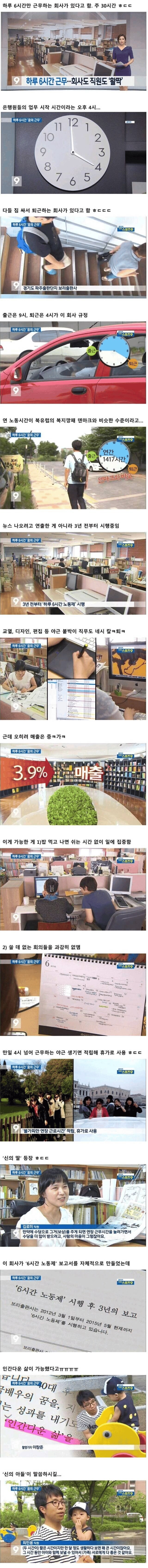하루 6시간 근무하는 한국회사.jpg_1.png