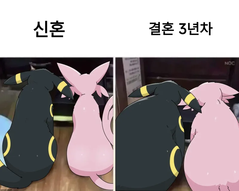 신혼부부 vs 결혼 3년차_1.webp