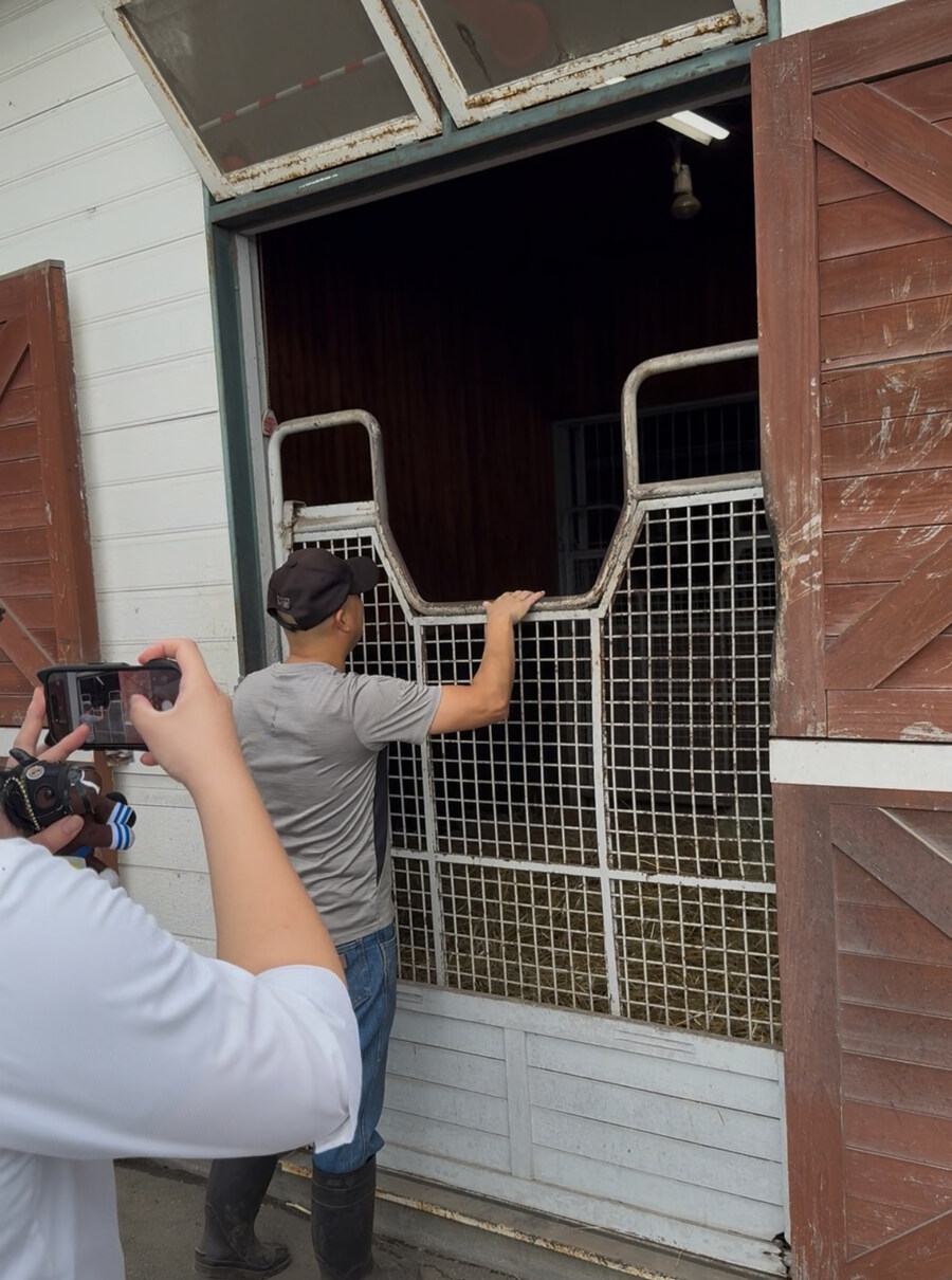 말딸) 자작 포토카드를 들고 홋카이도를 돌고 왔어 (말 구경편)_38.jpg
