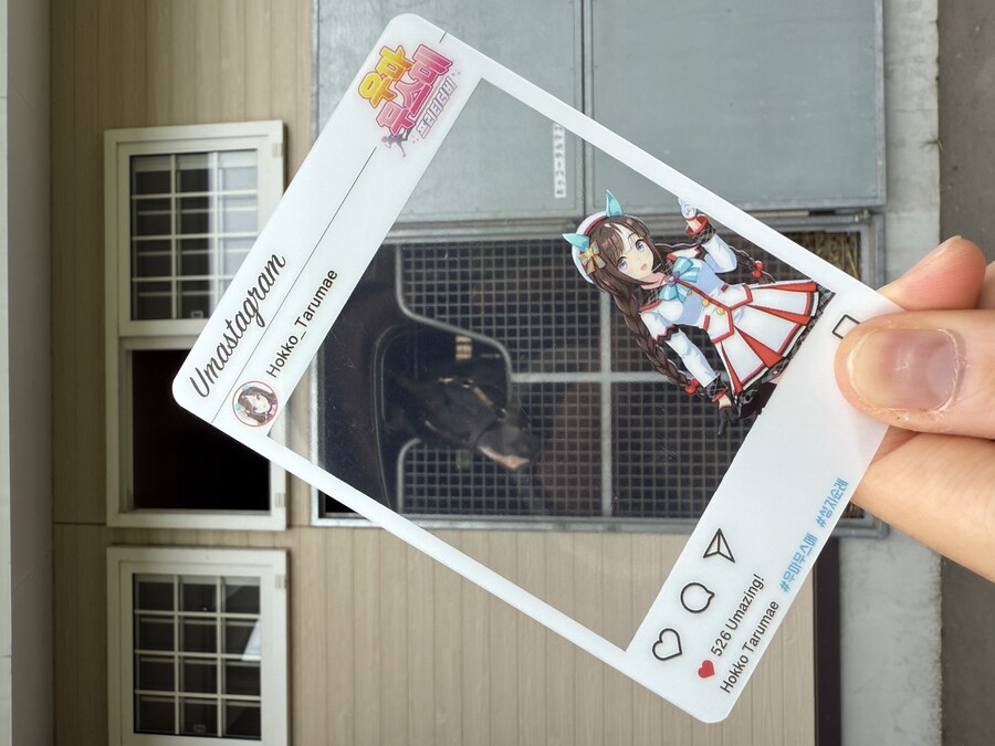 말딸) 자작 포토카드를 들고 홋카이도를 돌고 왔어 (말 구경편)_62.jpg