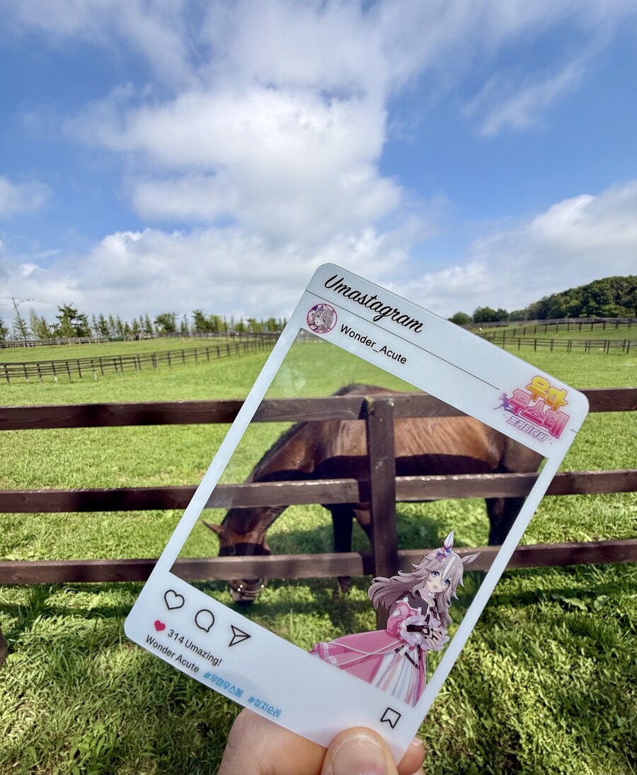 말딸) 자작 포토카드를 들고 홋카이도를 돌고 왔어 (말 구경편)_81.jpg