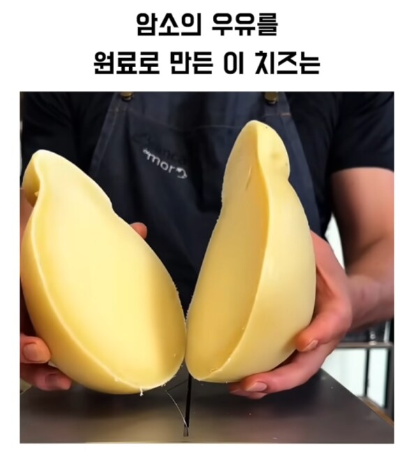 쇼츠 보다가 뇌정지 옴_1.png