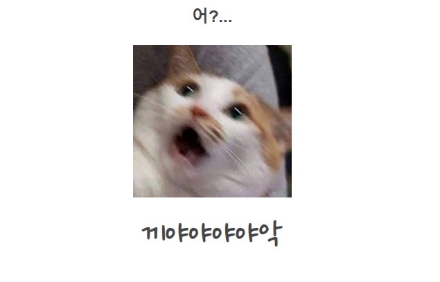 리버샷 맞은 메스 뉴건담 수리_7.png