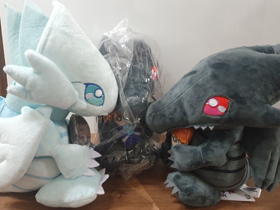 흑룡인형이 드디어 왔습니다!_15.jpg