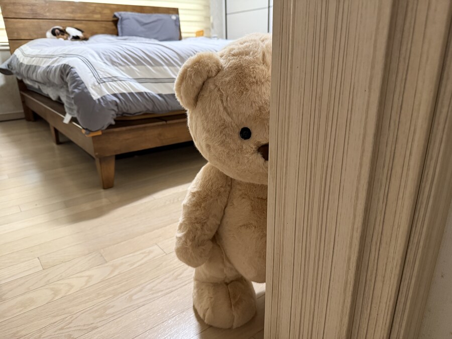 테디테일즈 레나베어 60cm_9.jpg