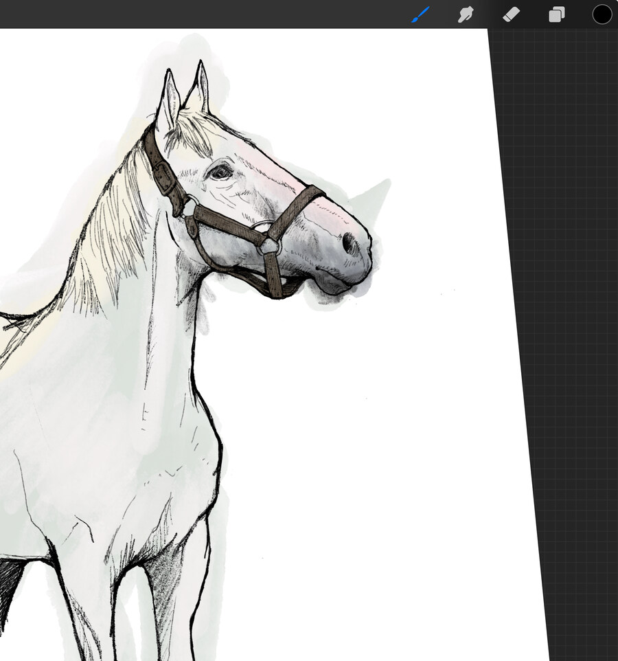 말딸) 자작 포토카드를 들고 홋카이도를 돌고 왔어 (말 구경편)_70.jpg